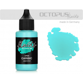 Octopus Caribic Opak