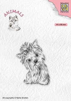 Ani020: Hondje met strik